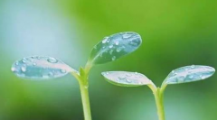 超声波身高体重测量仪儿童生长发育测试仪厂家告诉你孩子长高个的秘密，再也不用担心宝宝长不高了