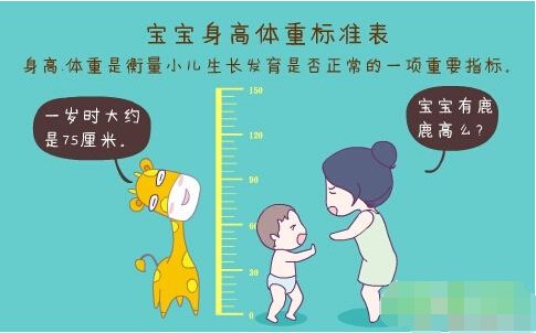 超声波身高体重测量仪正确测量方法标准身高体重表 超声波身高体重测量仪正确测量方法标准身高体重表