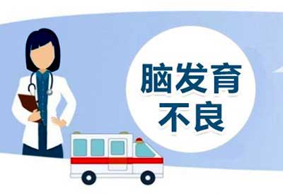 儿童综合素质测试仪/测评系统介绍宝宝大脑发育不良的危害 儿童综合素质测试仪/测评系统介绍宝宝大脑发育不良的危害